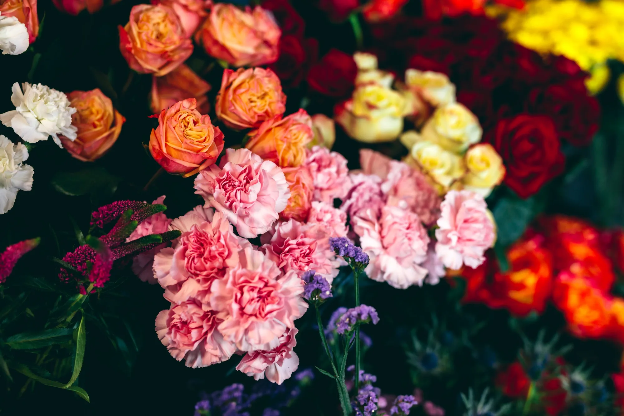 Colorful cut flowers in a flower shop.